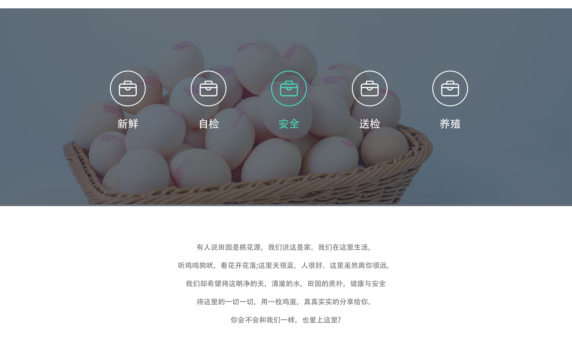土鸡蛋真比普通鸡蛋补吗，聊聊营养和适合谁吃